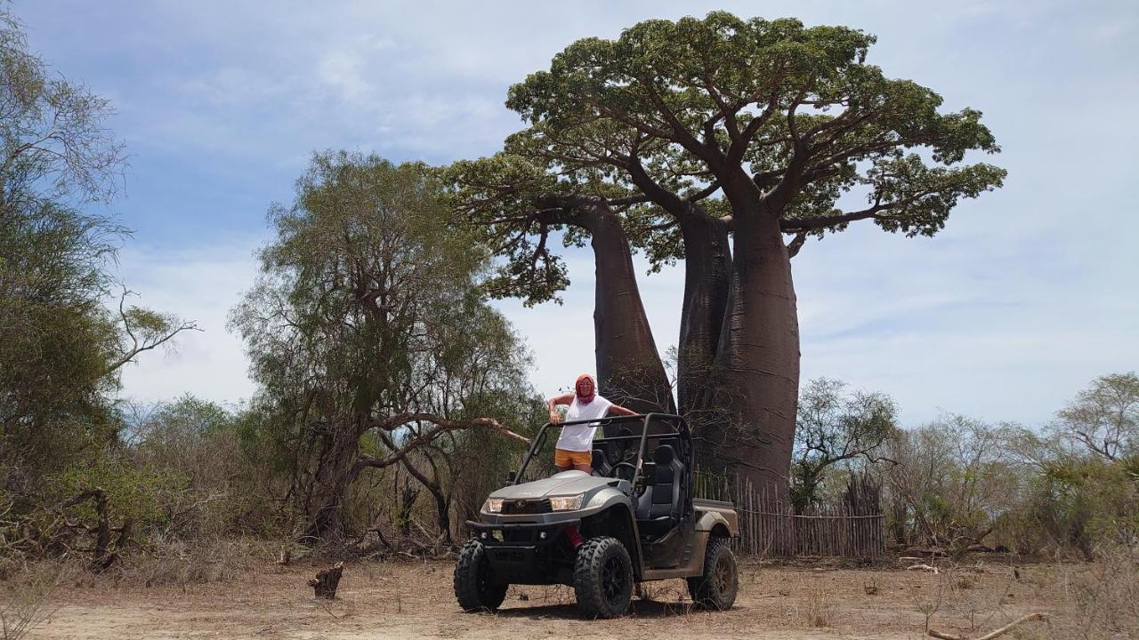 Ecolodge Du Menabe Belo Eksteriør bilde